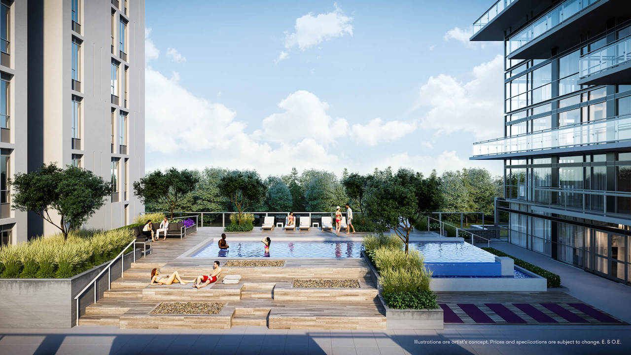 Rendering of Connectt Condos outdoor swimming pool.